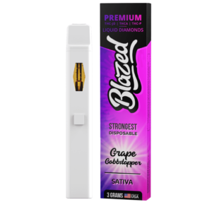 THCA + Delta 9P 3 Gram Disposable – Blazed